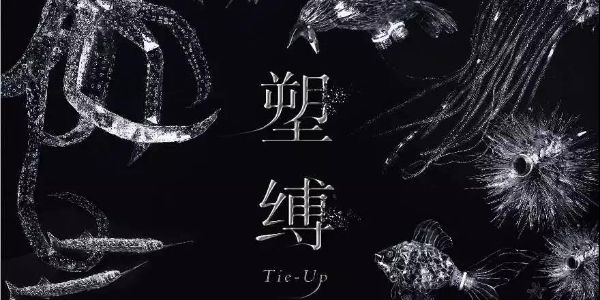 2019台湾金点新秀设计奖——视觉传达类