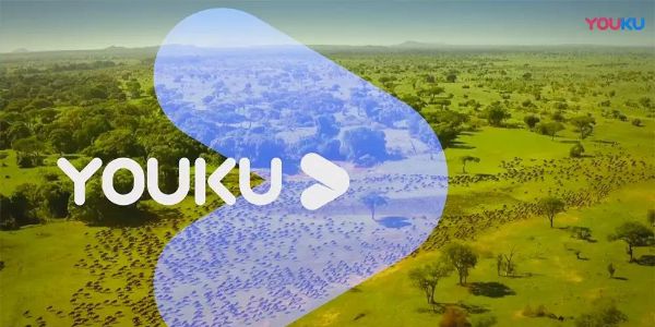 为什么优酷、头条的新logo都在扁平化？