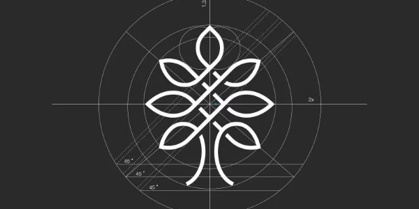 设计中的数字之美