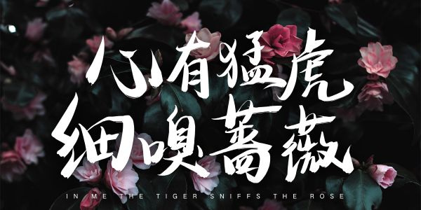 谁说手书类字体用不起？这两款绝对鲨爆你的眼！