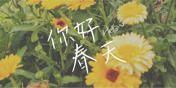  什么字体才能配得上你的小清新气质？