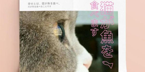 What？一张图片也能设计出多种方案