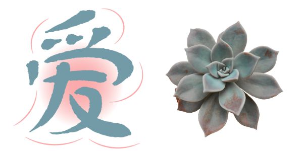 当小清新的多肉变成一款字体