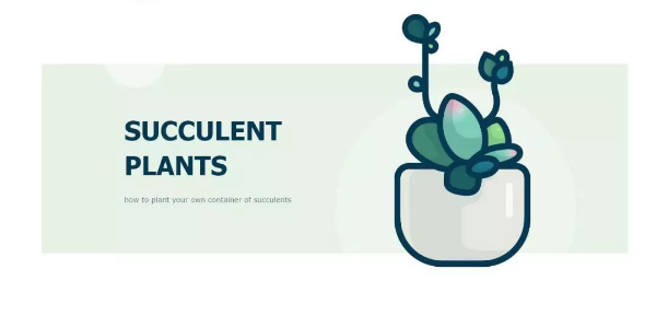 如何绘制一枚多肉植物扁平风插画