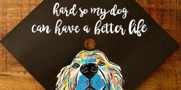 34款画风清奇的学士帽，看完我爱上了字体