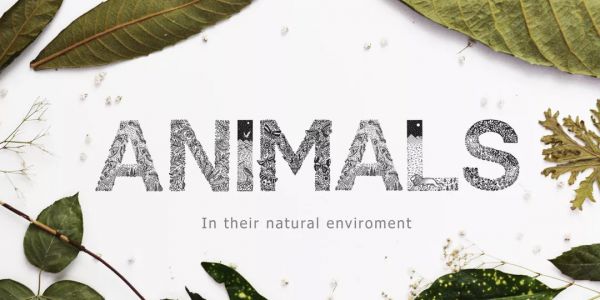 字母形状只是一块画布，真正的内容才是令人惊叹