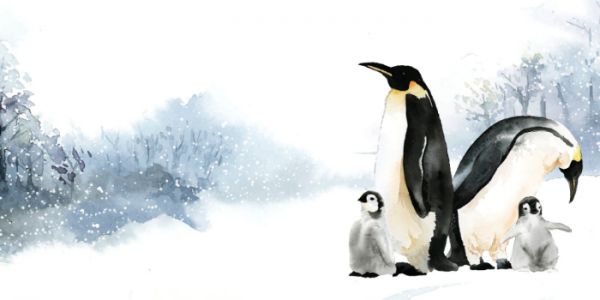 我已经冻得说不出话来，只能打字给你看了……