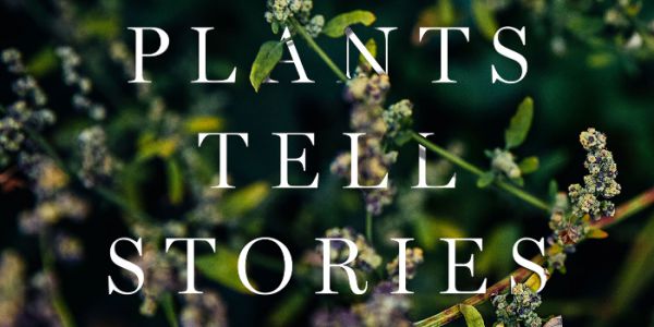 只需五分钟，就能做出裸眼3D效果的小教程，要不要学一下？