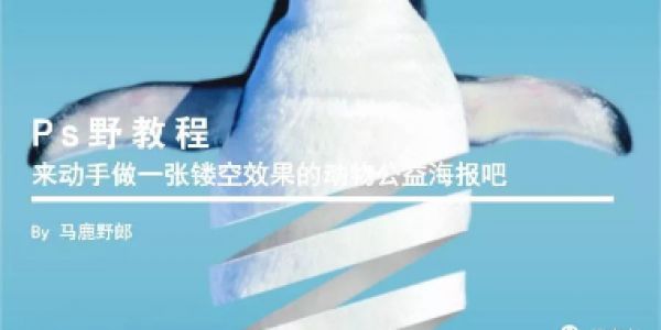 来动手做一张镂空效果的动物公益海报吧!