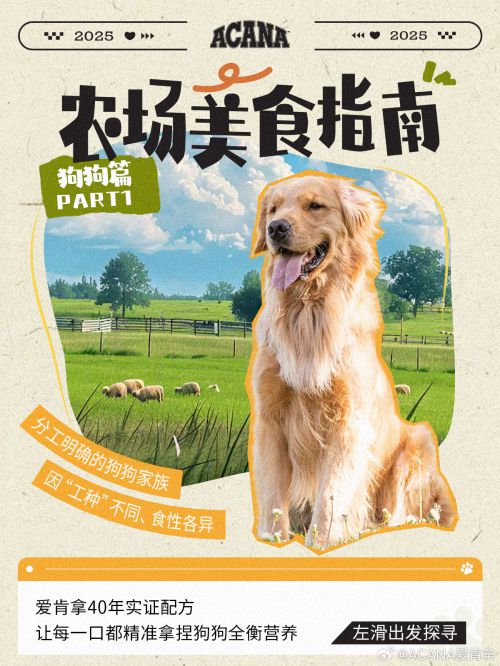 点字天然呆