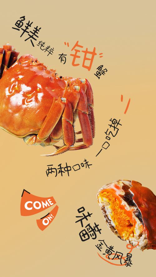 点字浅夏体