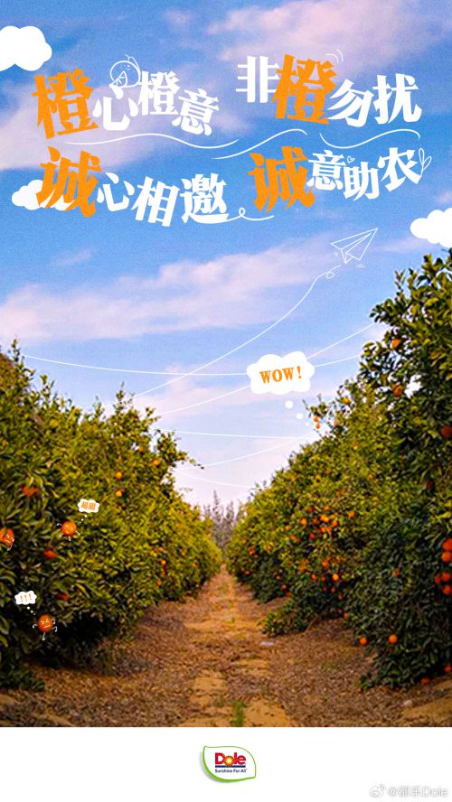 点字永胜粗宋