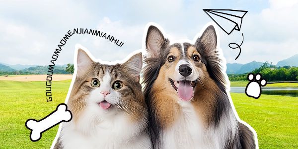 秋冬就要毛绒绒！