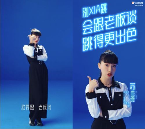 胡晓波真帅体使用案例