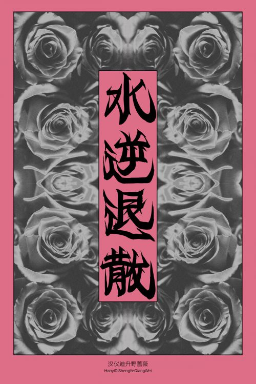 汉仪迪升野蔷薇使用案例
