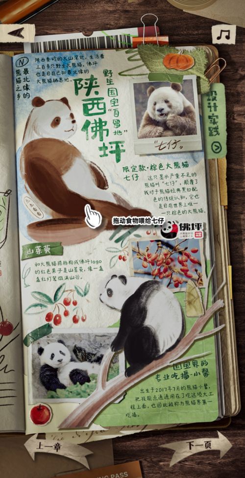 点字意风,点字浅夏体使用案例