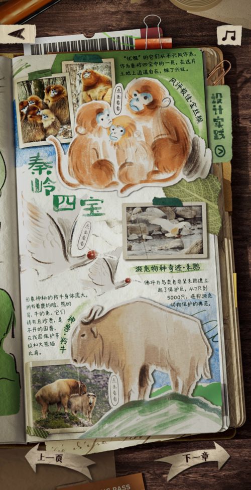 点字意风,点字浅夏体使用案例