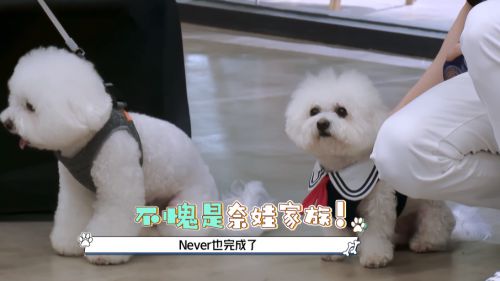 汉仪铸字童年体使用案例