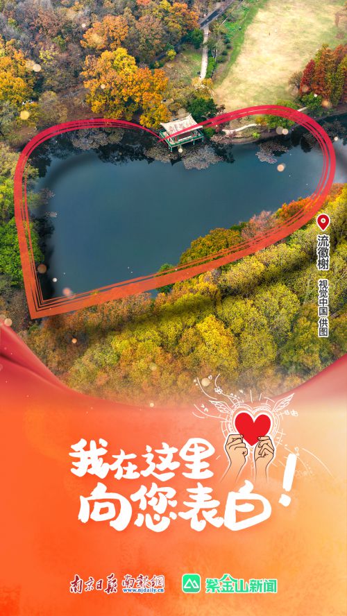 汉仪小松茸使用案例