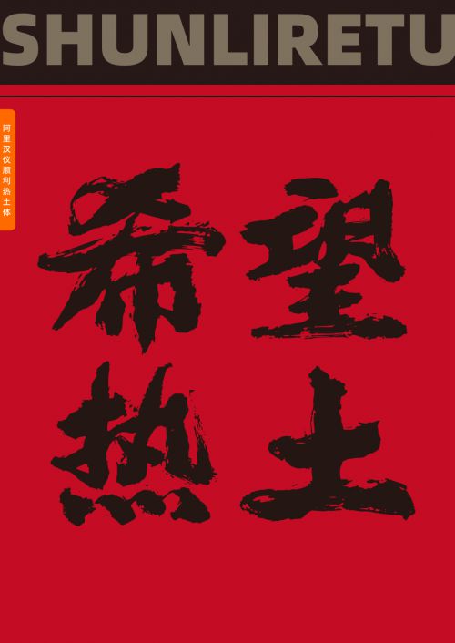 阿里汉仪顺利热土体使用案例