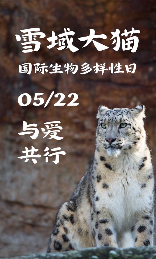 汉仪杰龙古楷使用案例