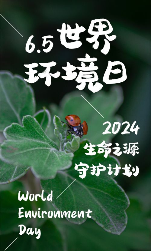 汉仪小松茸使用案例