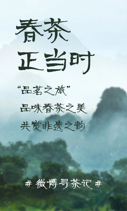 汉仪迪升碧螺春使用案例