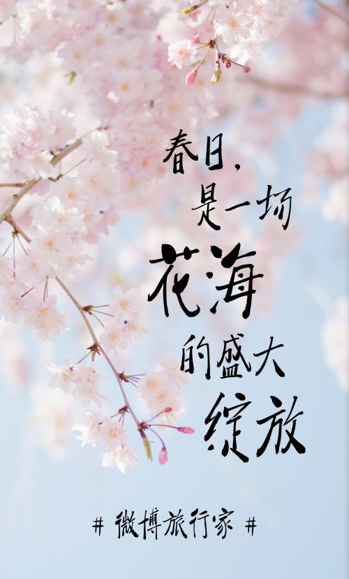 汉仪迪升花海使用案例