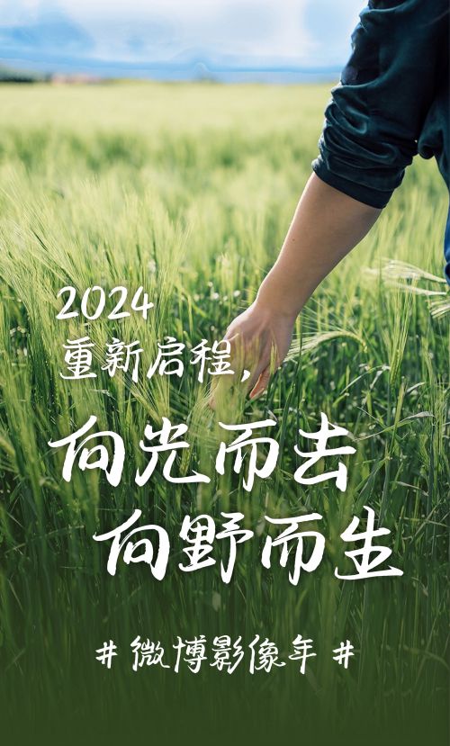汉仪小松枝使用案例