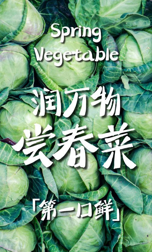 汉仪迪升春山体使用案例