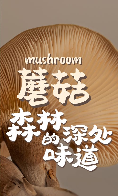 汉仪小松茸使用案例