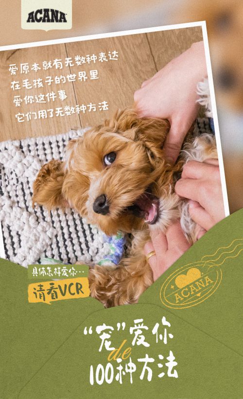 点字油画体使用案例