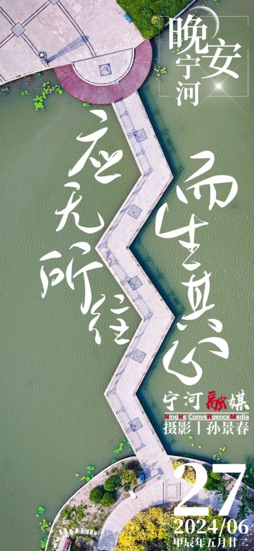 Aa菊花体使用案例