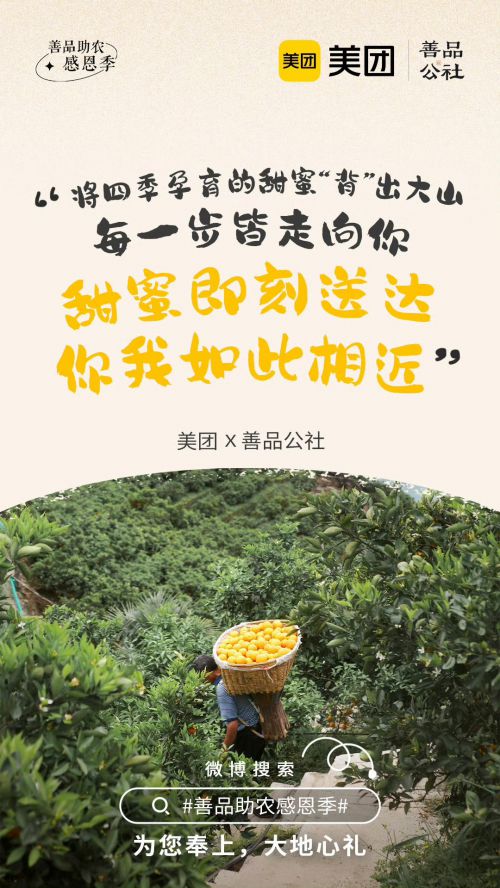 龚帆免费体使用案例