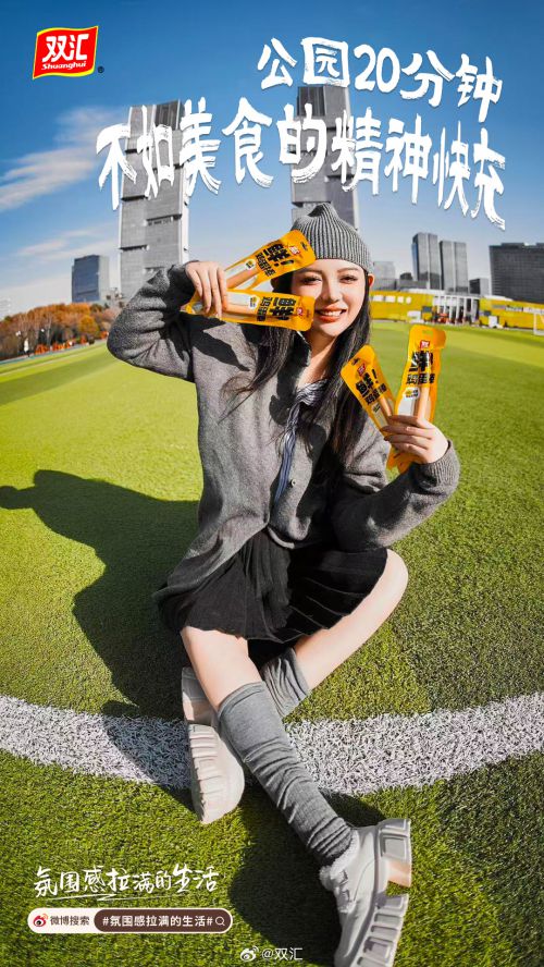 汉仪杰龙游子吟使用案例