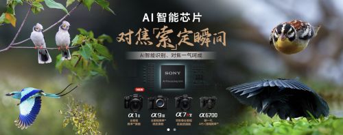 汉仪花木兰使用案例