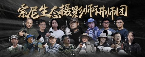 汉仪花木兰使用案例