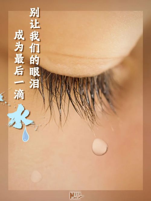 汉仪瑞兽使用案例