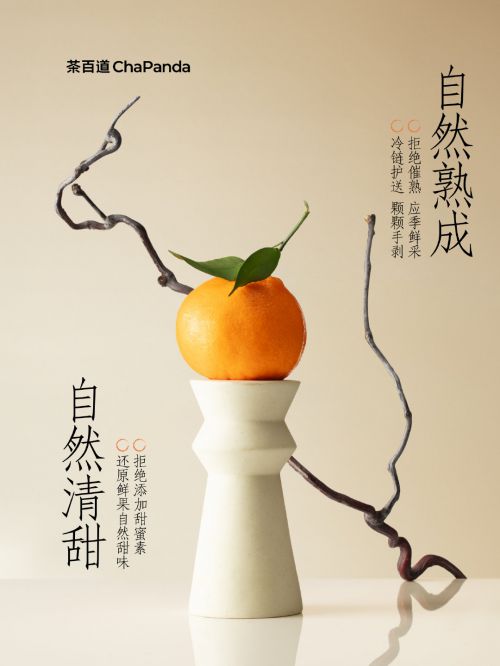 汉仪仿宋使用案例