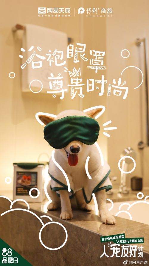 点字童稚体使用案例