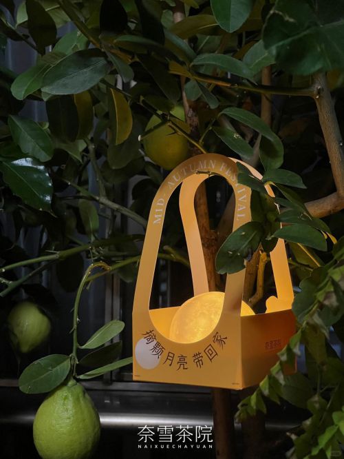 汉仪风竹体使用案例