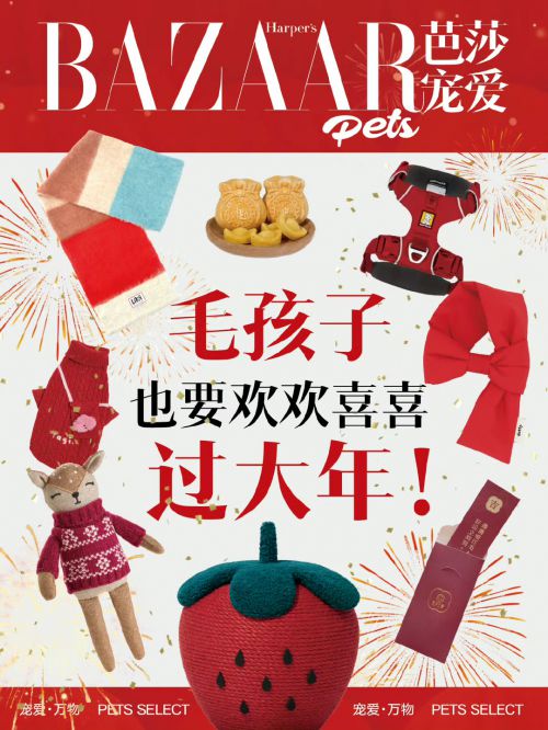 汉仪瑞意宋使用案例