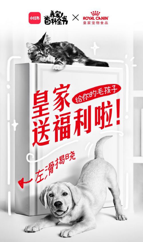 汉仪长美黑使用案例