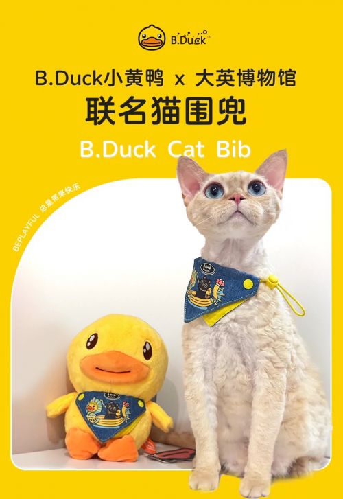汉仪正圆使用案例