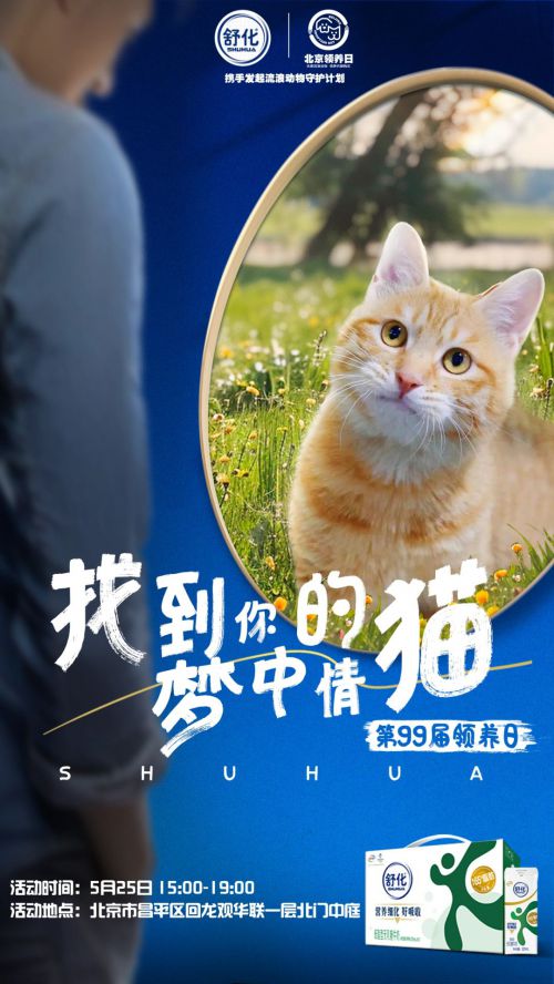 汉仪迪升圆梦体使用案例