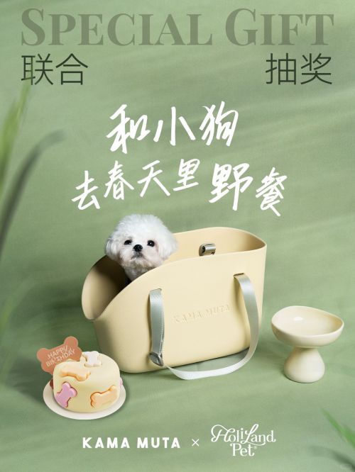汉仪艾米飞鸟体使用案例