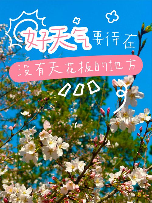 汉仪张子山体使用案例