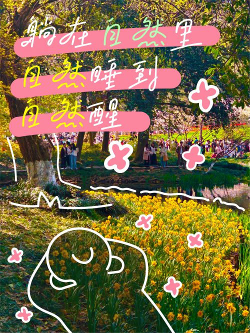 默陌卷恋手写体