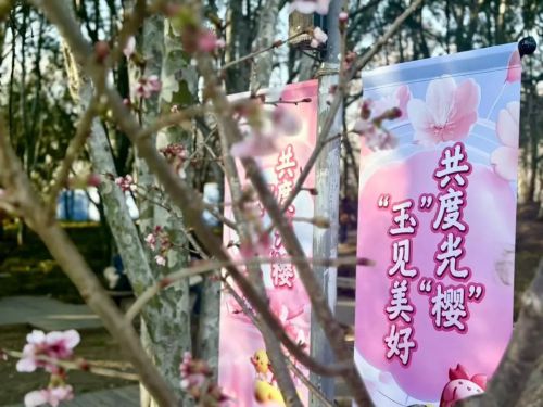 汉仪玉渊洛神行使用案例