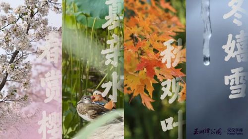 汉仪玉渊洛神行使用案例